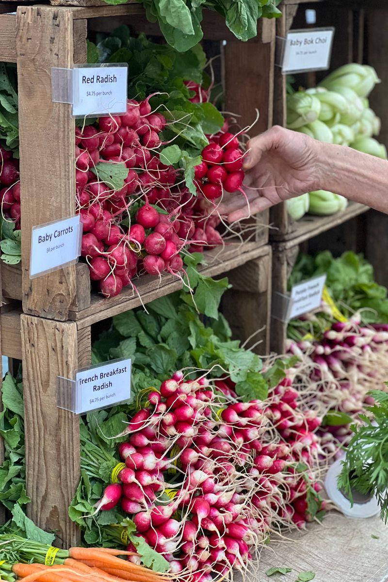 A vibrant display of fresh radishes and vegetables at a local farmer's market.